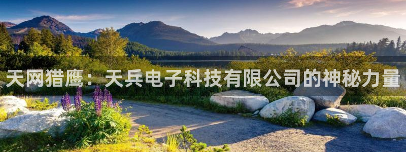 天网猎鹰：天兵电子科技有限公司的神秘力量