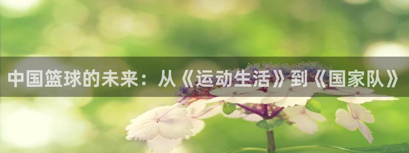 中国篮球的未来：从《运动生活》到《国家队》
